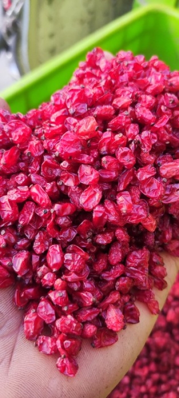 زرشک دانه اناری 